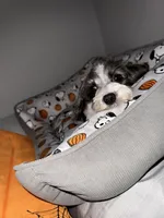 processed/8c66876c-a79a-482d-9aea-c028df8f65b3/facility/906f0f0d-d776-4219-878a-9c65f7d34367