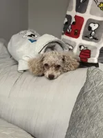 processed/8c66876c-a79a-482d-9aea-c028df8f65b3/facility/cbfdd5e3-c2f2-4b33-856b-81ae75e460f3