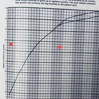 13” ht.   Wt. 15#   DNA Clear., a female Shetland Sheepdog for sale in Tazewell, VA – Photo 4 of 10