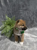 processed/8c691255-ab0f-46e7-ba26-f8e6a8aaa6dc/listing/32a25e10-a282-4143-8a9d-92b52b3a23d0/ecc7695d-7dc6-44d3-8c89-a5651c8776a3