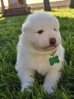 processed/8c691255-ab0f-46e7-ba26-f8e6a8aaa6dc/listing/ae2e7e93-f5d1-4293-852b-2ddfce0cb687/b05f6919-48ca-4c81-97ae-a73397400c8d