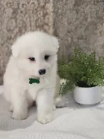 processed/8c691255-ab0f-46e7-ba26-f8e6a8aaa6dc/listing/ae2e7e93-f5d1-4293-852b-2ddfce0cb687/ea148be2-0e16-46cf-8c56-897260b79469