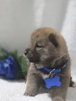 processed/8c691255-ab0f-46e7-ba26-f8e6a8aaa6dc/listing/cd169d66-0c4f-4253-be53-b6134323b174/9817441c-a6b3-4d8e-b8e4-1f3e01bef6bd