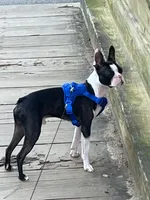 processed/8c7815ec-a7c9-45e3-bd01-88a57e4c6ee8/listing/6c2a4426-7fd4-4297-a4b9-edd7532637a3/1adeb49d-add4-439d-9331-1258764c93ff