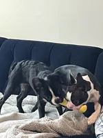 processed/8c7815ec-a7c9-45e3-bd01-88a57e4c6ee8/listing/6c2a4426-7fd4-4297-a4b9-edd7532637a3/287b8284-88fd-48b6-b20a-50e9d88d4d8f