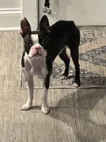 processed/8c7815ec-a7c9-45e3-bd01-88a57e4c6ee8/listing/6c2a4426-7fd4-4297-a4b9-edd7532637a3/409712d7-7ad1-4c05-a74c-6ce2de9a14fb