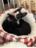 processed/8c7815ec-a7c9-45e3-bd01-88a57e4c6ee8/listing/6c2a4426-7fd4-4297-a4b9-edd7532637a3/76bac4ad-7f10-48fc-a23a-a9a74b75ae9b