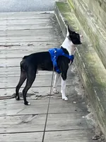 processed/8c7815ec-a7c9-45e3-bd01-88a57e4c6ee8/listing/6c2a4426-7fd4-4297-a4b9-edd7532637a3/86b5c890-ce03-4e32-b9c2-3c1b0ddc47f4