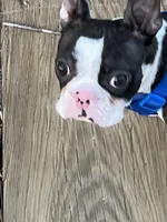 processed/8c7815ec-a7c9-45e3-bd01-88a57e4c6ee8/listing/6c2a4426-7fd4-4297-a4b9-edd7532637a3/d2ca71b2-bb0b-455c-94aa-5558f0cf6fa5