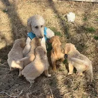 processed/8c79ddbf-c126-493b-bac3-c5bf266b9a5c/facility/4fc6a02b-aab6-4895-9982-03f9552ec3a5