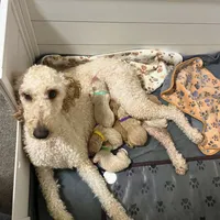 processed/8c79ddbf-c126-493b-bac3-c5bf266b9a5c/facility/66a229fd-79ca-46f3-ae1d-56b481ae482f