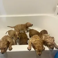 processed/8c79ddbf-c126-493b-bac3-c5bf266b9a5c/facility/7b3e74db-5990-4f82-bdd8-32a78077ae1a