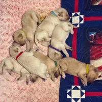 processed/8c79ddbf-c126-493b-bac3-c5bf266b9a5c/facility/c581aeb7-8a0d-4a5c-aa68-64345097b060