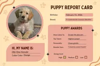 Obi-Wan Kenobi - Champion bloodline, a male Goldendoodle for sale in Kansas City, MO – 2 of 6
