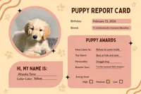 Ashoka Tano - Champion bloodline, a female Goldendoodle for sale in Kansas City, MO – 3 of 6