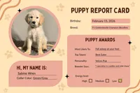 Sabine Wren - Champion bloodline, a female Goldendoodle for sale in Kansas City, MO – 2 of 7