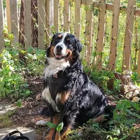 processed/8c88b69c-de52-4858-86d1-45092bd45f99/facility/00629b16-04e1-4b22-933b-a2ae31884917