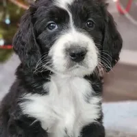 processed/8c88b69c-de52-4858-86d1-45092bd45f99/facility/1903e5f6-8a3b-4b92-a14a-2e6a075be693