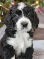 processed/8c88b69c-de52-4858-86d1-45092bd45f99/facility/1903e5f6-8a3b-4b92-a14a-2e6a075be693