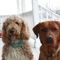 processed/8c88b69c-de52-4858-86d1-45092bd45f99/facility/47c35f01-3ffb-4b46-94f7-77eb180f587b