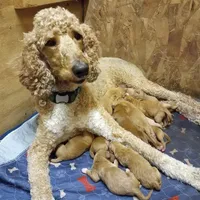 processed/8c88b69c-de52-4858-86d1-45092bd45f99/facility/57146602-2fbd-4ada-8cab-3d22bd34ac4f