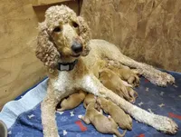 processed/8c88b69c-de52-4858-86d1-45092bd45f99/facility/57146602-2fbd-4ada-8cab-3d22bd34ac4f