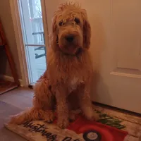 processed/8c88b69c-de52-4858-86d1-45092bd45f99/facility/57392cdc-0f57-4a69-9580-8ea77452a77c