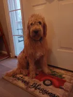 processed/8c88b69c-de52-4858-86d1-45092bd45f99/facility/57392cdc-0f57-4a69-9580-8ea77452a77c