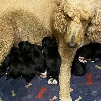 processed/8c88b69c-de52-4858-86d1-45092bd45f99/facility/9639d2ad-4956-4886-be89-d7e40fc7943a