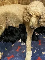 processed/8c88b69c-de52-4858-86d1-45092bd45f99/facility/9639d2ad-4956-4886-be89-d7e40fc7943a