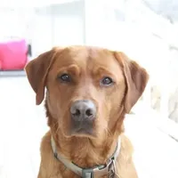 processed/8c88b69c-de52-4858-86d1-45092bd45f99/facility/96826c38-40cb-47e7-b697-3cd006bb740d