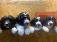 processed/8c88b69c-de52-4858-86d1-45092bd45f99/facility/c9e363bd-6ba4-45d8-90df-18058dfed3af