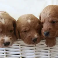 processed/8c88b69c-de52-4858-86d1-45092bd45f99/facility/eb2c2f13-079a-42c7-aa68-f8cec3573992