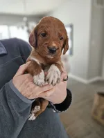 processed/8c88b69c-de52-4858-86d1-45092bd45f99/listing/3e820cb5-3fb9-4014-a38f-be338f1ff18c/50f43a0a-73d7-40c4-9ce5-9a890d34db8e