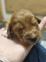 processed/8c88b69c-de52-4858-86d1-45092bd45f99/listing/3e820cb5-3fb9-4014-a38f-be338f1ff18c/59741e40-b036-4e15-a613-a9ec83889541