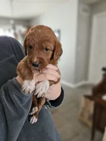 processed/8c88b69c-de52-4858-86d1-45092bd45f99/listing/3e820cb5-3fb9-4014-a38f-be338f1ff18c/cfd8053d-ca5a-4a16-ab2b-e75f3926f4d7