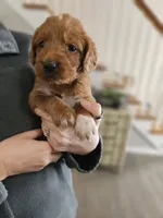 processed/8c88b69c-de52-4858-86d1-45092bd45f99/listing/78b6dc15-9bf4-4ff5-927d-18ee659abd3a/71cd2b85-2848-47a1-a18b-efd76f9da64e