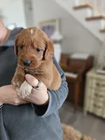 processed/8c88b69c-de52-4858-86d1-45092bd45f99/listing/78b6dc15-9bf4-4ff5-927d-18ee659abd3a/805822d9-5537-41be-abf1-0e0c0044998b