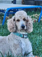 processed/8c88b69c-de52-4858-86d1-45092bd45f99/listing/78b6dc15-9bf4-4ff5-927d-18ee659abd3a/ad67ecc1-bae7-4db5-bda1-9e3c1e06397d