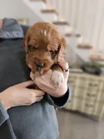 processed/8c88b69c-de52-4858-86d1-45092bd45f99/listing/78b6dc15-9bf4-4ff5-927d-18ee659abd3a/d2270d4d-144f-4db1-9a28-f17c5f6d32be