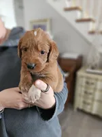 processed/8c88b69c-de52-4858-86d1-45092bd45f99/listing/78b6dc15-9bf4-4ff5-927d-18ee659abd3a/dd6506c4-724c-48e7-bacb-ac796c2bd411