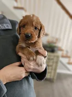 processed/8c88b69c-de52-4858-86d1-45092bd45f99/listing/78b6dc15-9bf4-4ff5-927d-18ee659abd3a/df46f783-7825-4f61-824b-720c7457c7a2