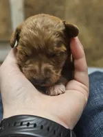 processed/8c88b69c-de52-4858-86d1-45092bd45f99/listing/8d516d66-076b-47dc-b9ff-e03577c436a1/0554a3ea-2a19-4eaa-8b5e-303c2fba68d1