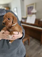 processed/8c88b69c-de52-4858-86d1-45092bd45f99/listing/8d516d66-076b-47dc-b9ff-e03577c436a1/392bf34e-501c-4619-b093-54238449b981