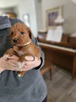 processed/8c88b69c-de52-4858-86d1-45092bd45f99/listing/8d516d66-076b-47dc-b9ff-e03577c436a1/47e330cc-9dc9-444d-b821-78dddda49960