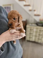 processed/8c88b69c-de52-4858-86d1-45092bd45f99/listing/8d516d66-076b-47dc-b9ff-e03577c436a1/a1f5d97c-ca6b-4745-bda3-87af85216d1e