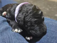 processed/8c88b69c-de52-4858-86d1-45092bd45f99/listing/a1494335-ab96-45ef-bea6-0fd96175af41/191fb132-8784-4215-aeda-6776cbf745a3