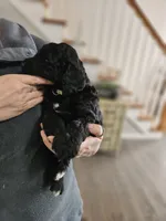 processed/8c88b69c-de52-4858-86d1-45092bd45f99/listing/a1494335-ab96-45ef-bea6-0fd96175af41/707bc7ba-1617-4bc0-97ce-194e8d17787b