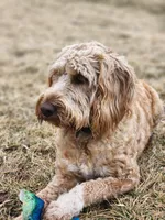 processed/8c88b69c-de52-4858-86d1-45092bd45f99/listing/a1494335-ab96-45ef-bea6-0fd96175af41/7c8aed7e-db30-4d08-b13a-92db9f9ebb70