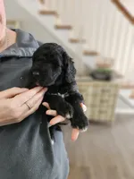 processed/8c88b69c-de52-4858-86d1-45092bd45f99/listing/a1494335-ab96-45ef-bea6-0fd96175af41/8d50729c-03b5-48e8-8098-05f270fbe676